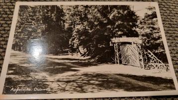 ANSICHTKAART APPELSCHA DUINWEG 1957 GELOPEN POSTZEGEL 4 CENT beschikbaar voor biedingen