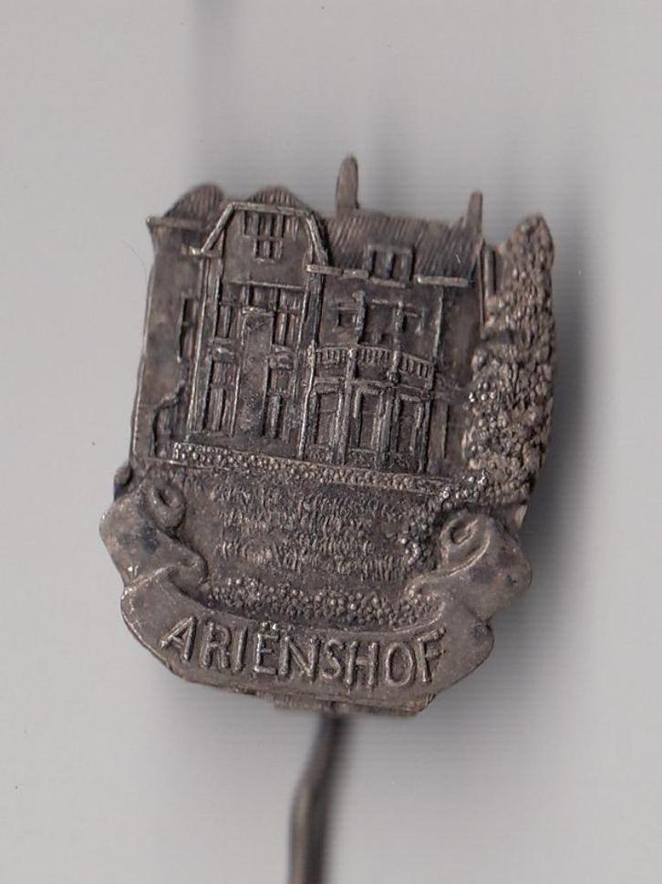 Zeist Ariënshof speldje Bosch en Duin, Verzamelen, Speldjes, Pins en Buttons, Gebruikt, Speldje of Pin, Overige onderwerpen, Ophalen of Verzenden