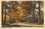 Groeten uit 't Harde, Ophalen of Verzenden, 1940 tot 1960, Gelopen, Gelderland