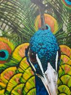 Schilderij print pauw glitter 38x38 cm, Antiek en Kunst, Ophalen