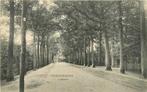 (381-363-033) Prinsenhage Liesbosch, Verzamelen, Ansichtkaarten | Nederland, Verzenden, Noord-Brabant