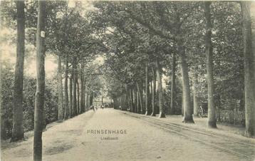 (381-363-033) Prinsenhage Liesbosch beschikbaar voor biedingen