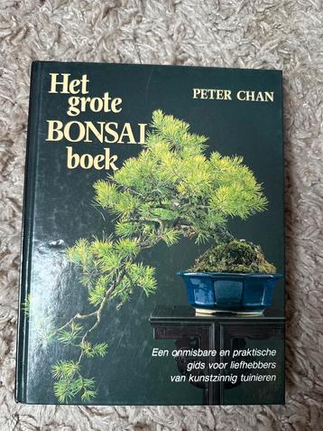 Het Grote Bonsai Boek - Peter Chan beschikbaar voor biedingen