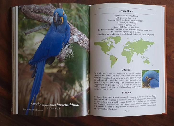 Broeden voor behoud 1 en/of 2 papegaaien auteurs namen etc, Dieren en Toebehoren, Vogels | Parkieten en Papegaaien, Papegaai, Meerdere dieren