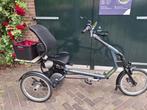 199: Van Raam Easy Rider 3-wieler, Ophalen, Zo goed als nieuw, 50 km per accu of meer, Overige merken