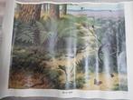 Oude schoolplaat 'op de heide', Antiek en Kunst, Antiek | Schoolplaten, Ophalen of Verzenden, Natuur en Biologie