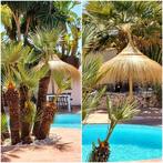 Style volle “Ibiza” Casa te huur in Moraira 2 min van Zee!, Vakantie, Dorp, 2 slaapkamers, Costa Blanca, Eigenaar