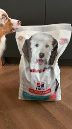 Hill’s Salmon hypoallergenic large25+ kg - adult 1-5, Dieren en Toebehoren, Ophalen of Verzenden, Hond