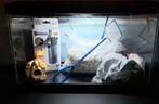 Mooi beginners aquarium 20 liter €50, Dieren en Toebehoren, Vissen | Aquaria en Toebehoren, Ophalen of Verzenden, Zo goed als nieuw