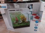 Superfish 40Ltr Aquarium met standaard,, Dieren en Toebehoren, Vissen | Aquaria en Toebehoren, Ophalen, Zo goed als nieuw, Leeg aquarium