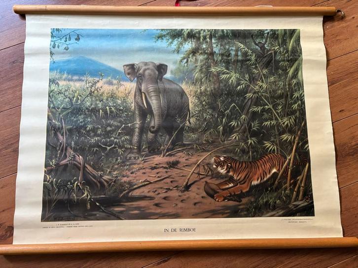 Oude schoolplaat - In de rimboe, Antiek en Kunst, Antiek | Schoolplaten, Natuur en Biologie, Ophalen of Verzenden