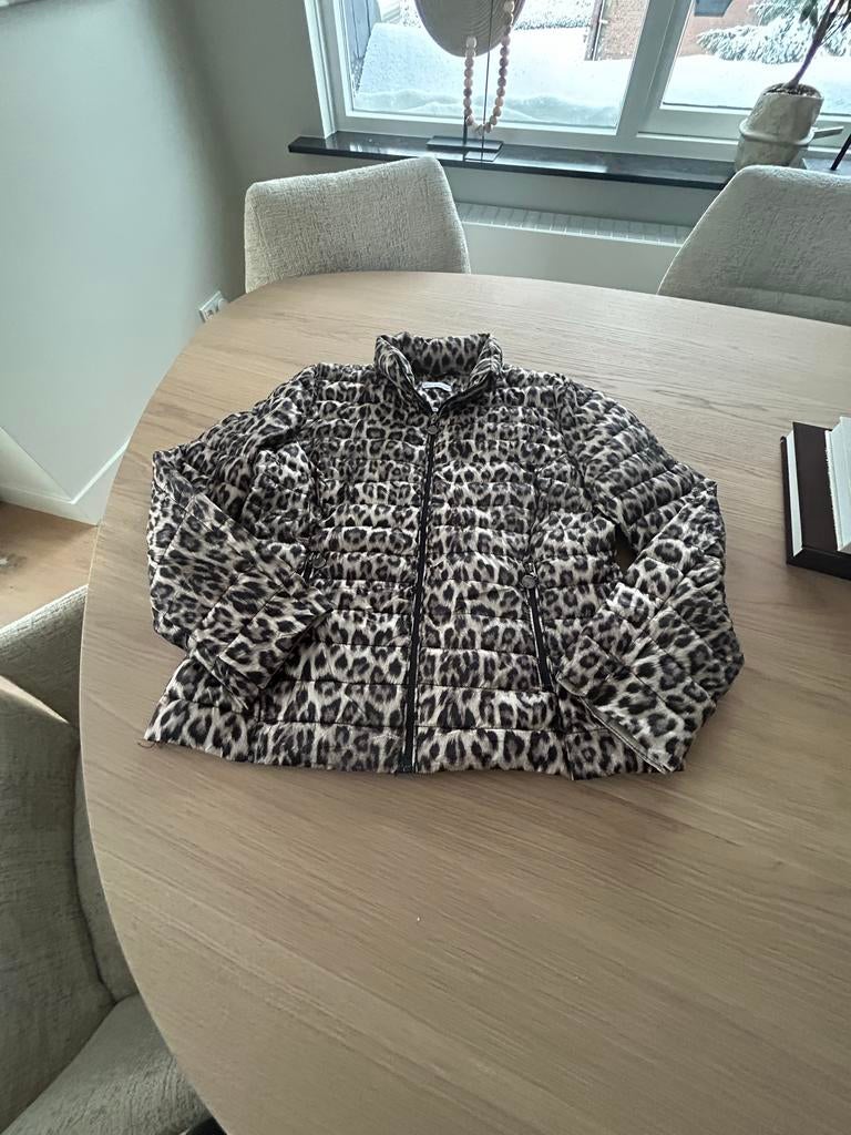 Als nieuw dames jas maat 42 ., Kleding | Dames, Jassen | Zomer, Ophalen of Verzenden, Gedragen, Maat 42/44 (L), Overige kleuren