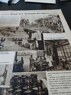 Knipsel Rond  Sunlight paviljoen Wereldtentoonstelling 1930, Verzamelen, Tijdschriften, Kranten en Knipsels, Ophalen of Verzenden