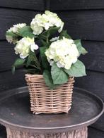 NIEUW BINNEN: PRACHTIGE HORTENSIA wit/groen kunstplant, Nieuw, Ophalen of Verzenden, Nvr, Nvt