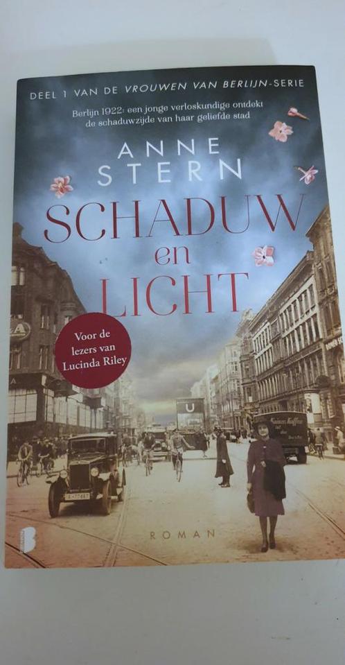 Anne Stern - Schaduw en licht, Boeken, Historische romans, Zo goed als nieuw, Ophalen of Verzenden