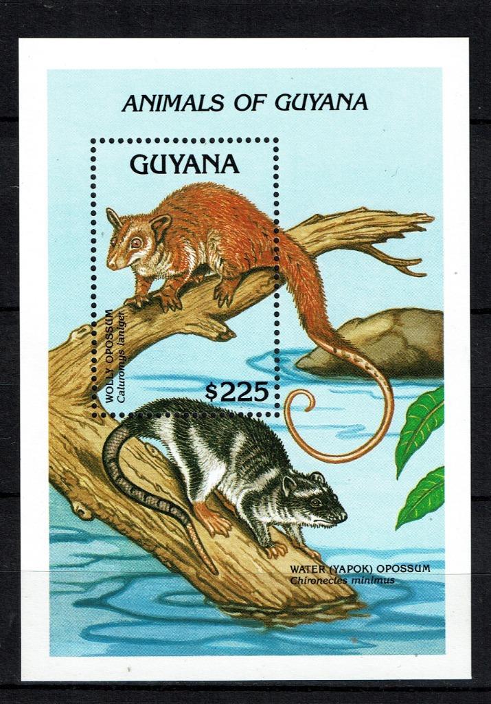guyana 1992 pf blok opussum wildlife zoogdieren, Postzegels en Munten, Postzegels | Thematische zegels, Postfris, Dier of Natuur