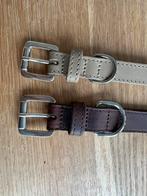 Halsband hond, Ophalen of Verzenden, Zo goed als nieuw