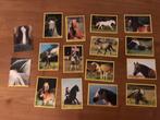 Stickers panini paarden, Ophalen of Verzenden