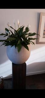 bloempot met houten zuil (zonder planten), Ophalen, Zo goed als nieuw