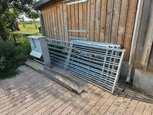 Aflammerhekjes Veno, Dieren en Toebehoren, Schapen, Geiten en Varkens, Schaap, Meerdere dieren