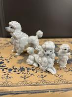 Vintage Japanse Mini Poedel Beeldjes - Bone China, Ophalen of Verzenden