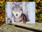 schitterende levensechte schilderij van een wolf, 125 cm of meer, Ophalen of Verzenden, Zo goed als nieuw, Schilderij