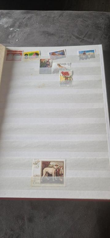 Postzegelalbum – Thema Honden – Internationaal beschikbaar voor biedingen