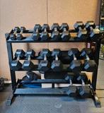 Dumbellrack + dumbells, Sport en Fitness, Ophalen, Zo goed als nieuw, Benen, Dumbbell