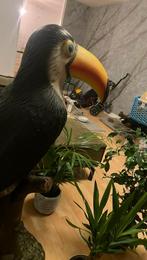 Grote toekan +- 120cm voor binnen of buiten vogel beeld, Ophalen of Verzenden, Zo goed als nieuw, Kunststof, Dierenbeeld