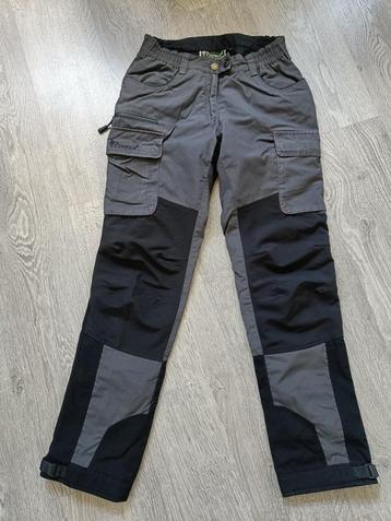 Pinewood hondensport trainingsbroek pantalon dames beschikbaar voor biedingen