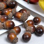 50 Kunst Eikels / Nep Sier Beukennoot Noot Eikel, Verzenden, Nieuw