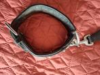 Halsband met riem voor hond., Ophalen of Verzenden, Zo goed als nieuw