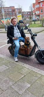 Elektrosche E chopper, Elektrisch, Zo goed als nieuw, Ophalen, Overige merken