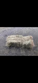 Hooi baaltjes, Ophalen of Verzenden