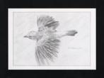 Vlaamse Gaai Schreeuwekster Spaanse Ekster Pentekening., Ophalen of Verzenden, 1980 tot heden, Ongelopen, Vogel