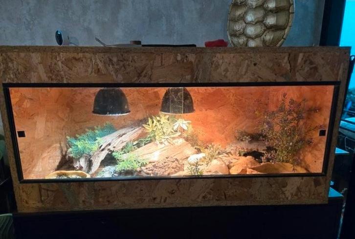 3x osb terrarium, Dieren en Toebehoren, Reptielen en Amfibieën | Toebehoren, Zo goed als nieuw, Ophalen