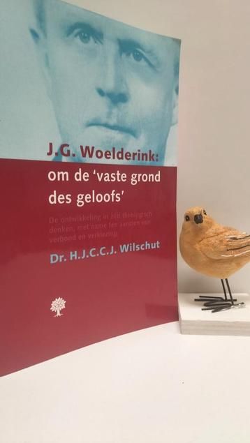 Wilschut, Dr. H.J.C.C.j.;  J.G. Woelderink:  om de ‘vaste gr beschikbaar voor biedingen