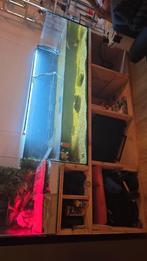 Schildpadden aquarium met ombouw, Dieren en Toebehoren, Vissen | Aquaria en Toebehoren, Ophalen of Verzenden, Gebruikt, Leeg aquarium