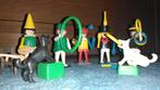 Playmobil Circusartiesten, Ophalen of Verzenden, Zo goed als nieuw, Complete set