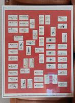 Cigarettes cards Wills, Verzamelen, Ophalen, Zo goed als nieuw, Overige sporten, Poster, Plaatje of Sticker