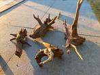 4 Prachtige Stukken Kienhout / Driftwood / Spiderwood, Ophalen, Zo goed als nieuw, Plant(en), Steen of Hout