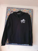 H&M prachtige hoody maat 170 zgan, Ophalen of Verzenden, Zo goed als nieuw, Jongen, Trui of Vest