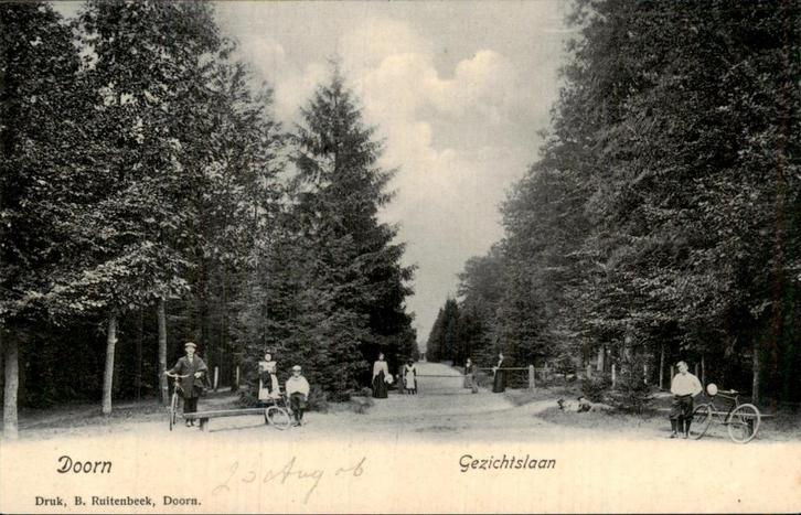 Doorn - Gezichtslaan, Verzamelen, Ansichtkaarten | Nederland, Ongelopen, Utrecht, 1920 tot 1940, Ophalen of Verzenden