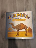 Reclamebord Camel sigaretten, aluminium, 40x40 cm, Ophalen of Verzenden, Nieuw, Reclamebord