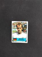 Panini Euro 88 nr. 59, Verzamelen, Sportartikelen en Voetbal, Verzenden, Nieuw, Buitenlandse clubs, Poster, Plaatje of Sticker