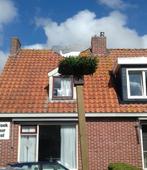 feestpalen straatversiering vogels te huur 40x, Ophalen, Zo goed als nieuw, Overige