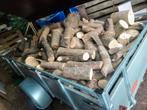 Openhaardhout loofboomhout, Minder dan 3 m³, Ophalen, Overige houtsoorten, Blokken