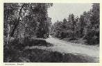 Amerongen, Bospad, bos, Verzamelen, Ansichtkaarten | Nederland, Verzenden, 1940 tot 1960, Gelopen, Utrecht