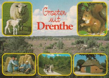 DRENTHE Schapen Oogst Fietspad Eekhoorn Groeten beschikbaar voor biedingen