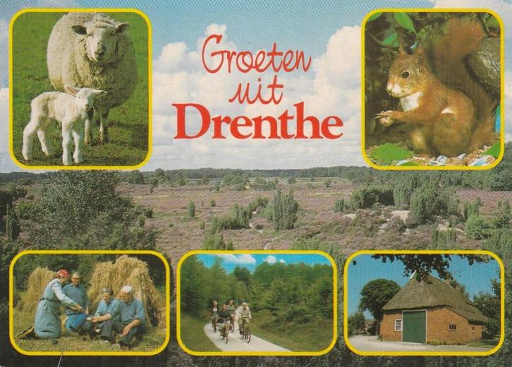 DRENTHE Schapen Oogst Fietspad Eekhoorn Groeten, Verzamelen, Ansichtkaarten | Nederland, Gelopen, Drenthe, 1980 tot heden, Verzenden